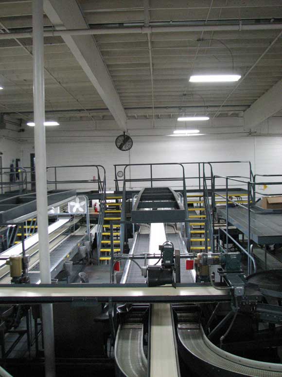 Photo of Stemilt packing line