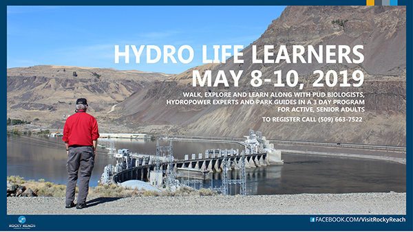 2019 Snapcomms HLL Image of 2019 Snapcomms HLL ad