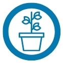 potted plant with three branches icon