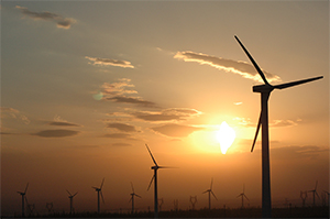 Image of Wind Farm