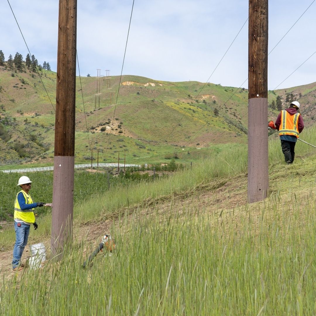 PUD crew grubbing around power poles