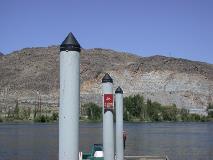 Piling caps prevent birds from perching and using pilings to prey on salmon.