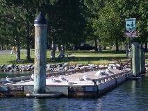 Piling caps remove perches for avian predators, reducing man-made advantages to preying upon smolt.