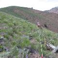 Pre- and post- construction vegetation monitoring helps Chelan PUD be a good steward of the land, returning it to native landscape following construction projects.