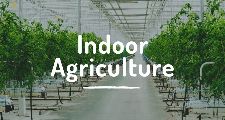 Indoor agriculture
