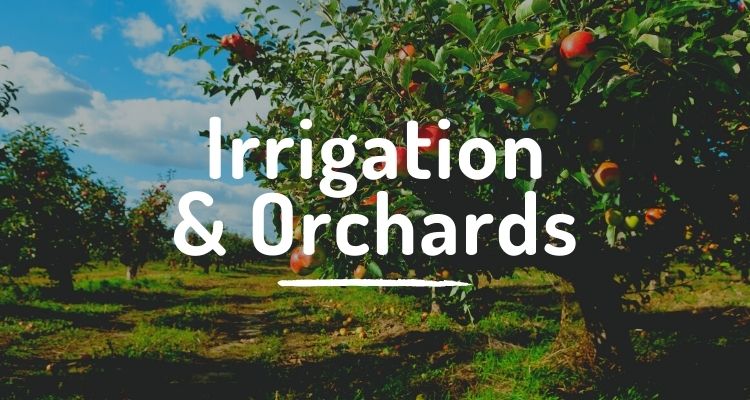 Irrigation and orchards