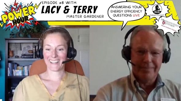 screen shot of livestreaming with Lacy and Terry
