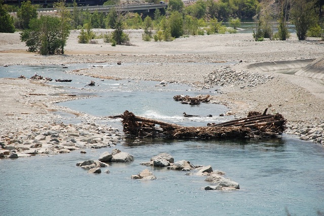 Chelan_habitat_stream