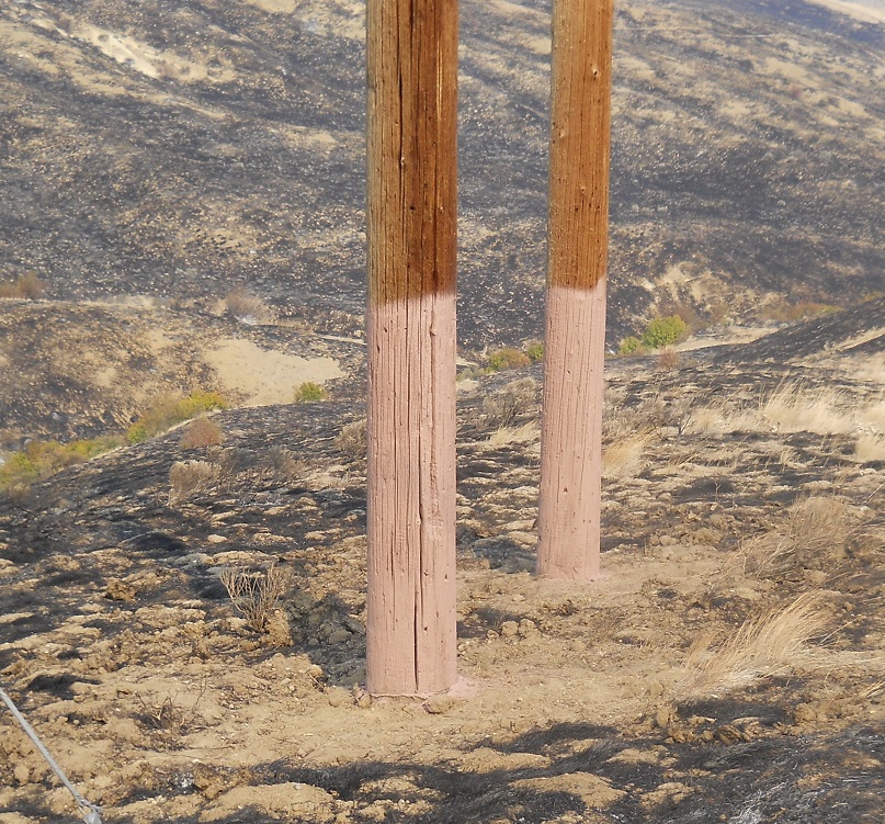 Photo of fire retardant paint on PUD transmission poles