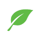 green leaf icon