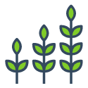 plants growing icon