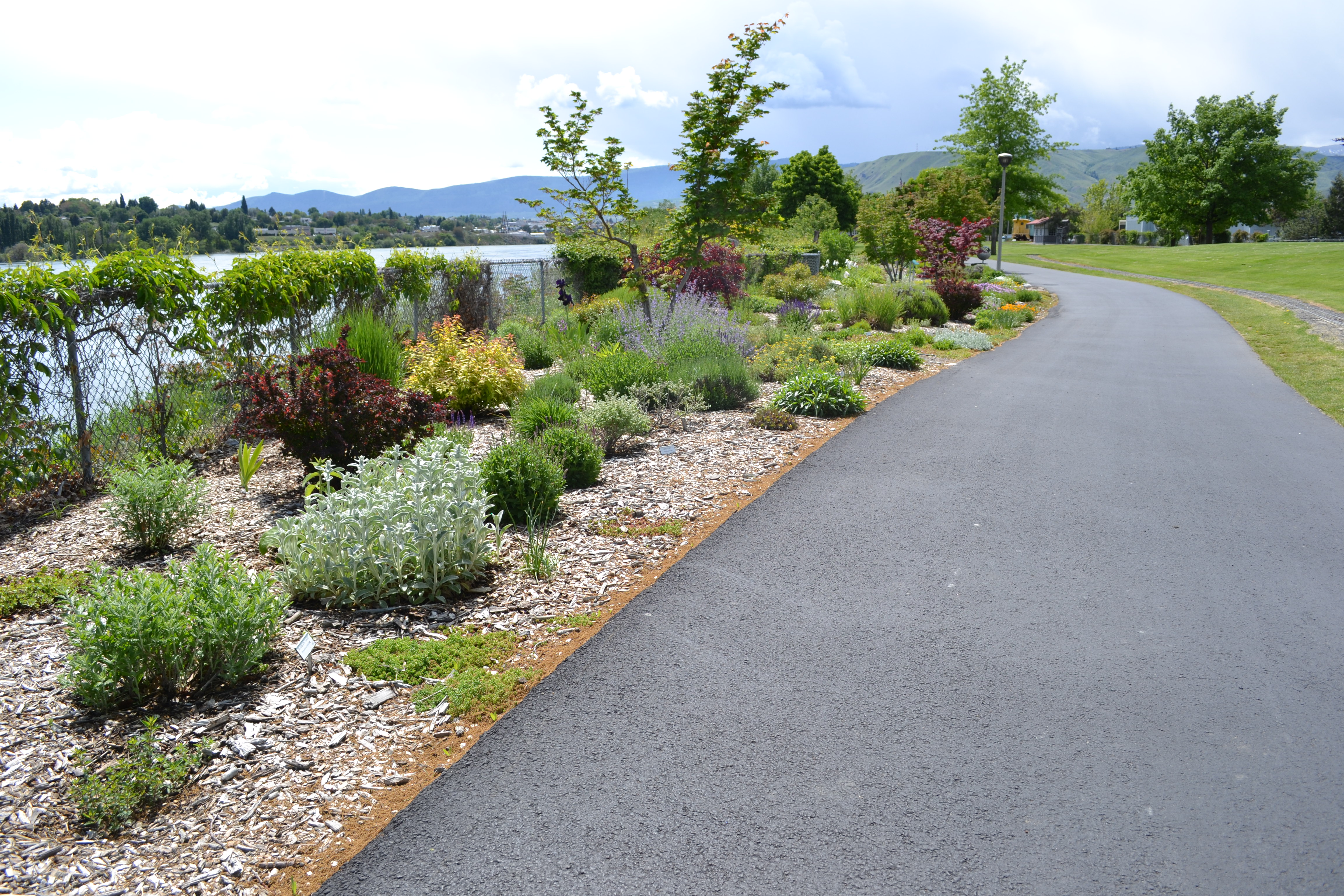 Riverfront Landscaping