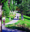 Photo of walkers in a trail in our park