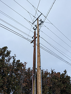 Image of Powerpole