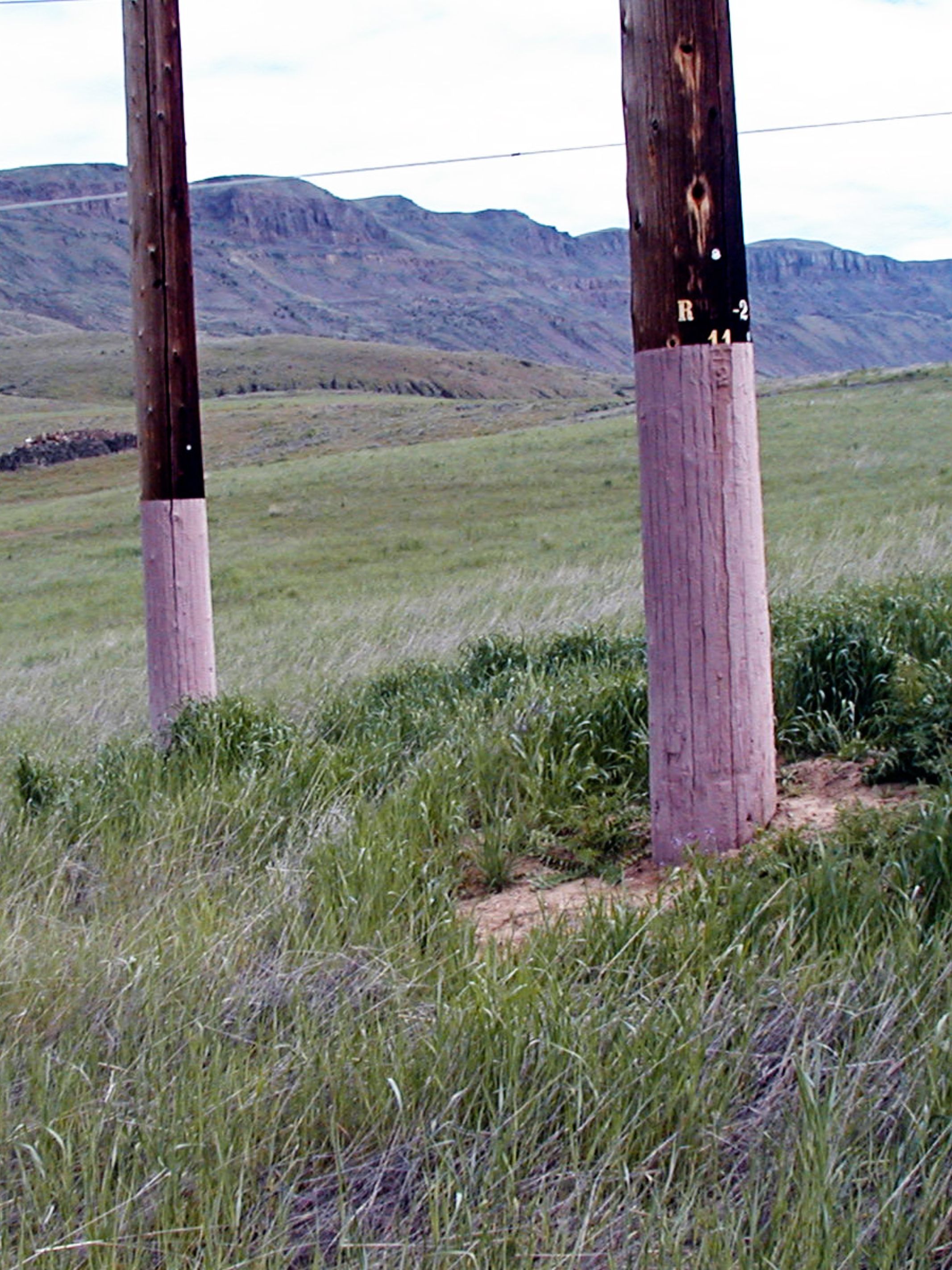 Pole Testing2
