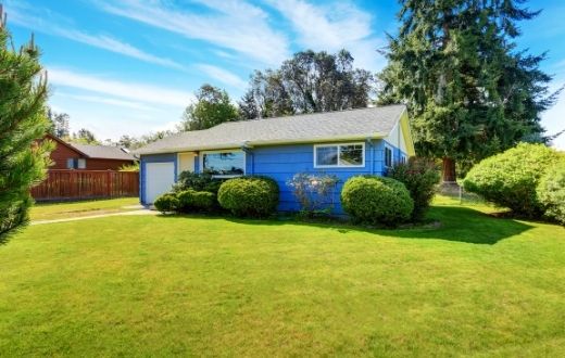 Small blue house in yard