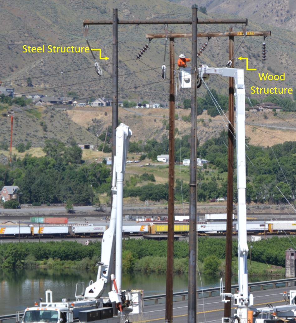 Image showing comparison of steel and wood transmission structures