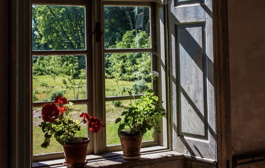 old wooden window with potted plants looking out to garden