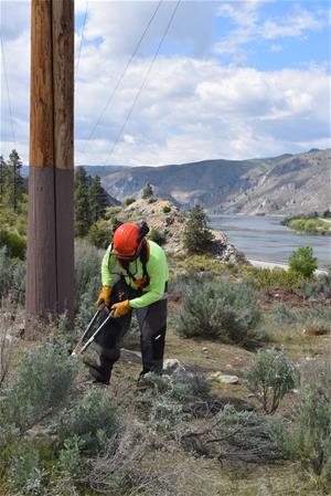 Lineman doing fire prevention