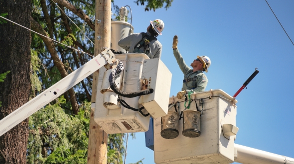 lineman inspecting