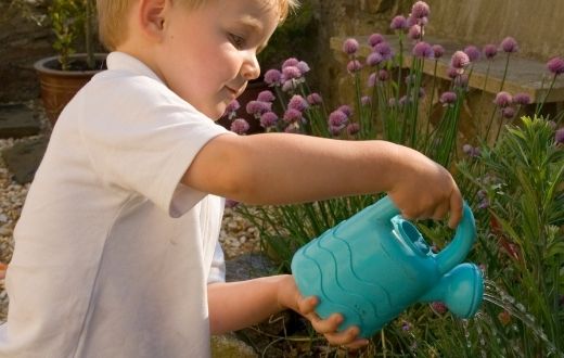 young boy watering plants with watering can