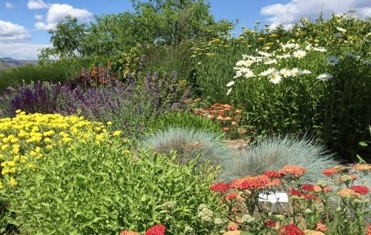 riverfront park xeriscape garden