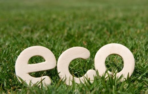 green lawn with "ECO" spelled in wooden letters