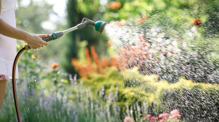 water sprays out of a hose onto plants in a yard