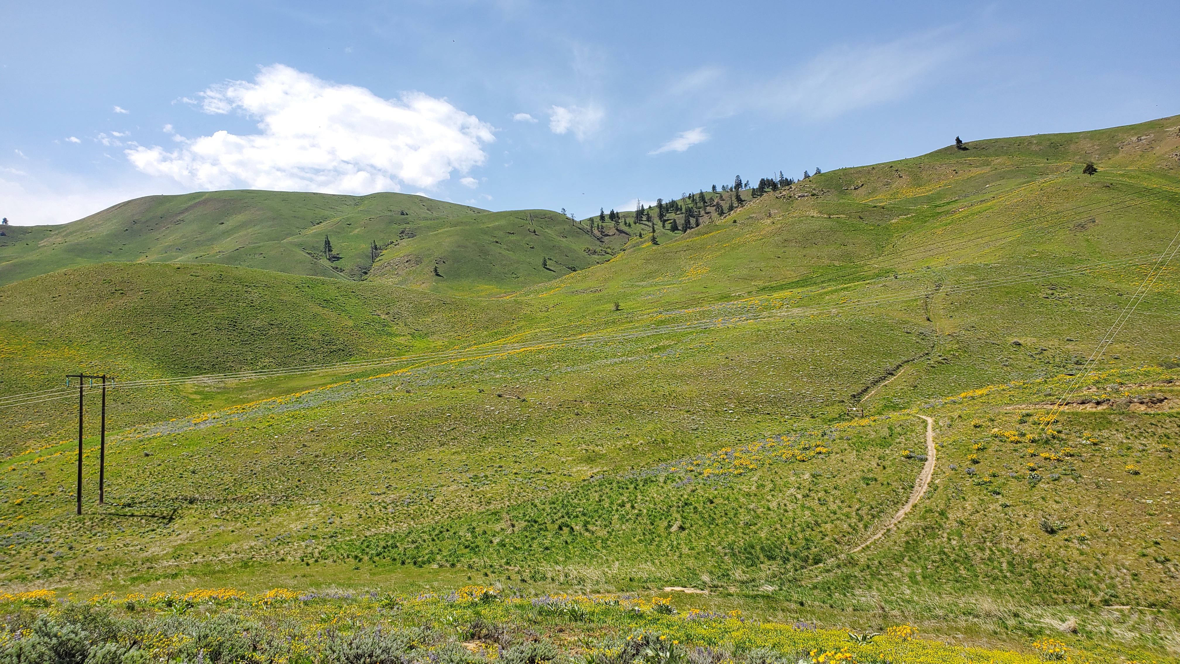 Wenatchee Foothills spring 23